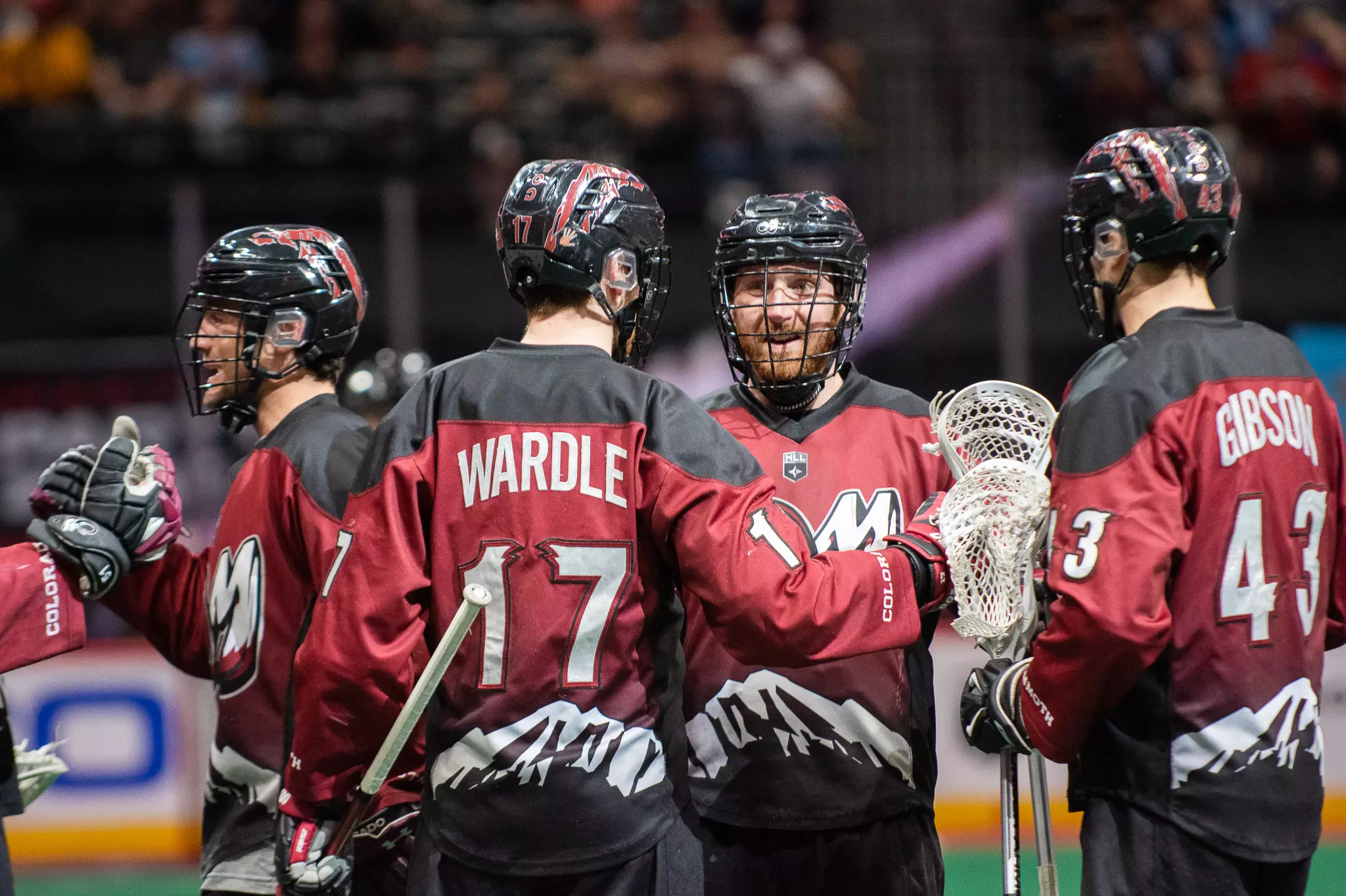 Colorado Mammoth